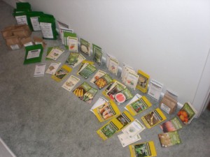 CIMG6855_640x480